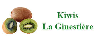 Kiwis Laginestière